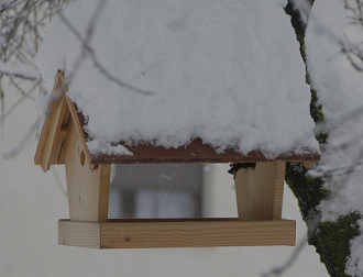 Nowy wygląd drewnianych domków dla ptaków
